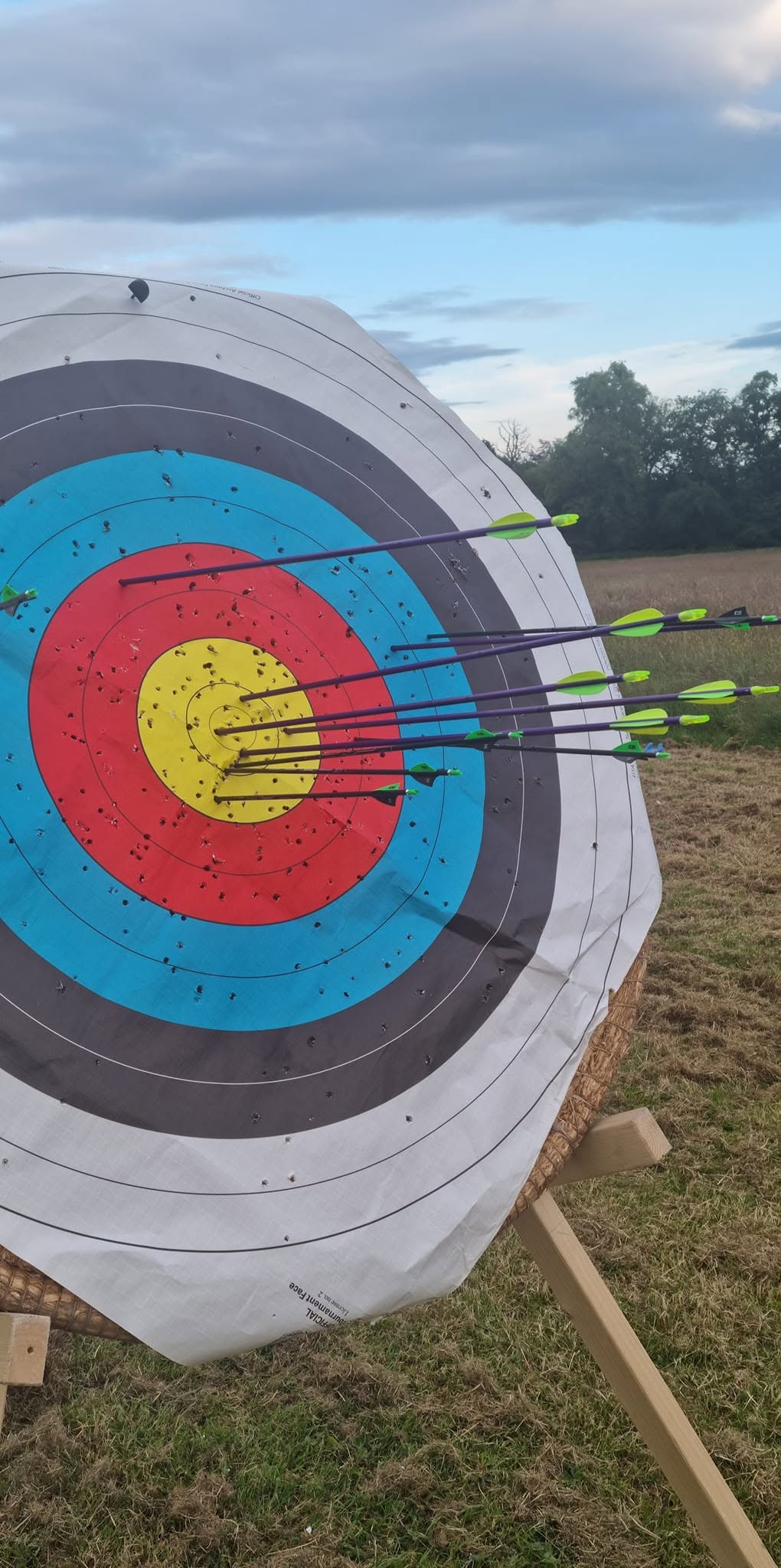 Close-up of arrows in a target